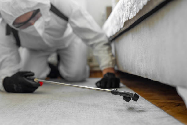 Professional Pest Control technician working in Jasper, IN